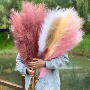120cm Pampas Grass Dried Reed Flowers