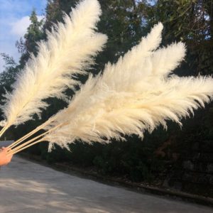 80cm Pampas Grass Plant Natural Reed Decor